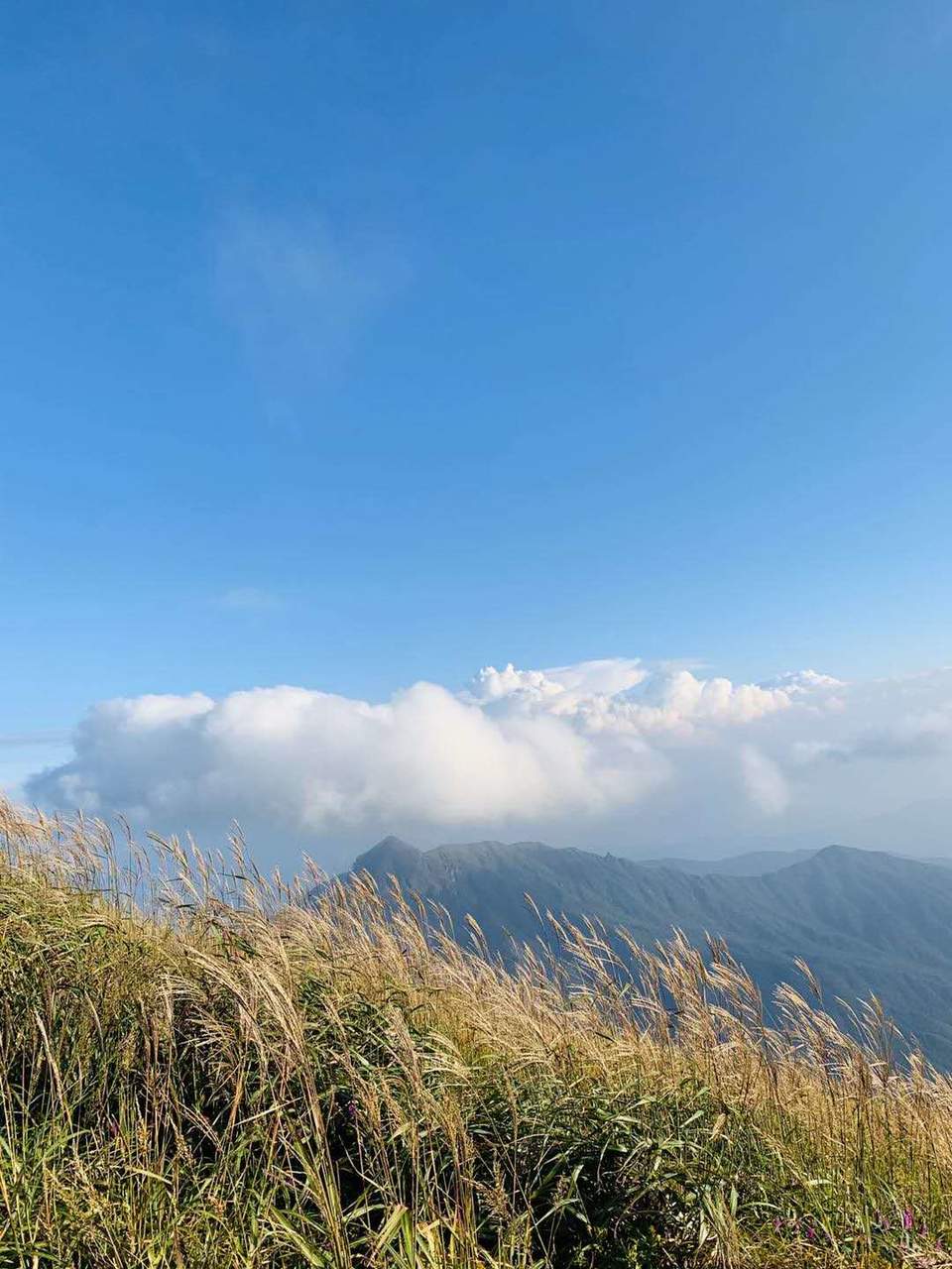 微信图片_202010091020173