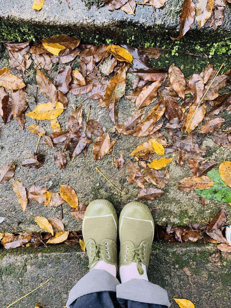 微信图片_202010091020422