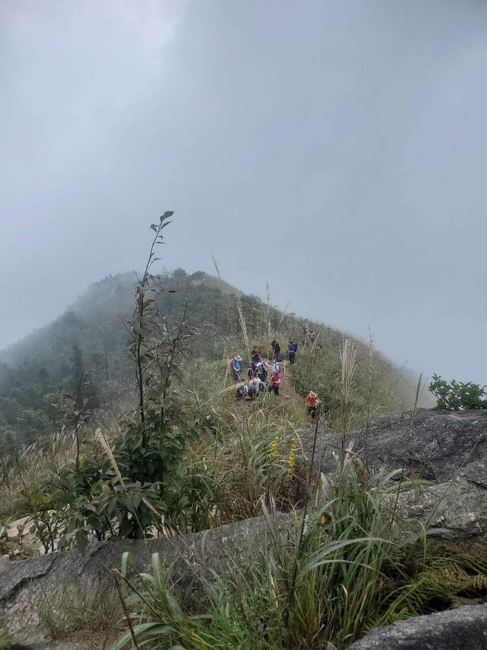 微信图片_202010091026131