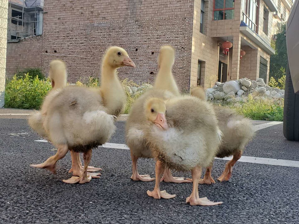 微信图片_202010091026132