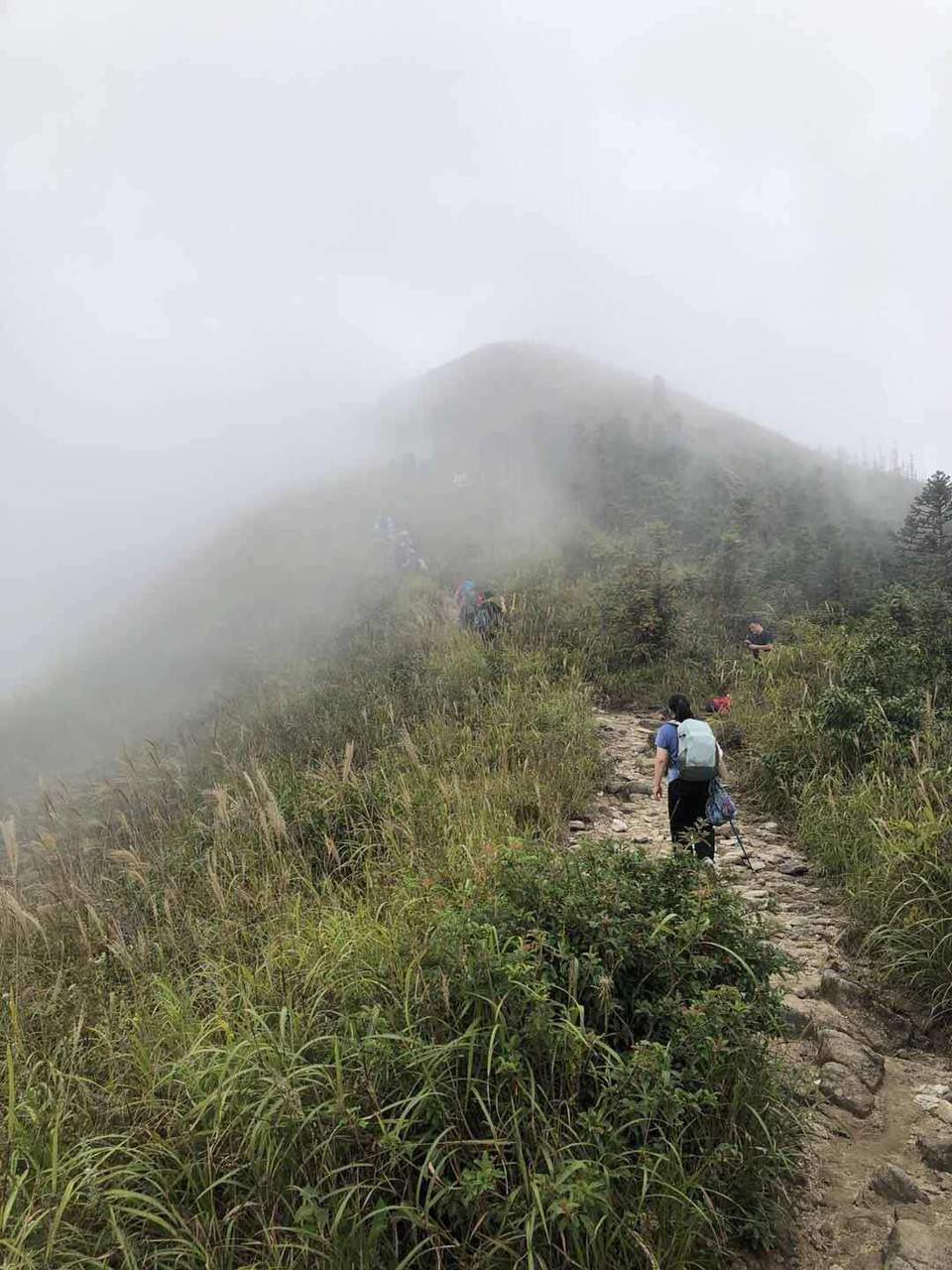 微信图片_202010091026381