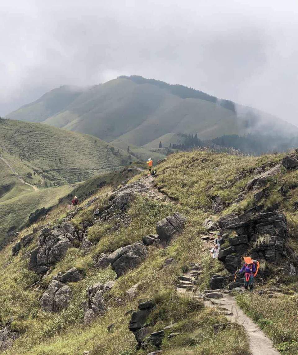 微信图片_202010091027142