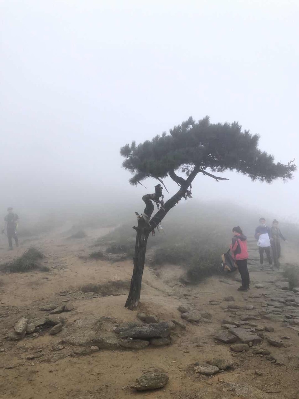 微信图片_202010091027342