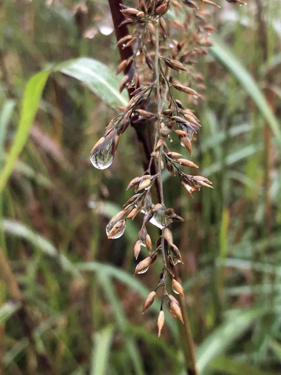 微信图片_202010091027453