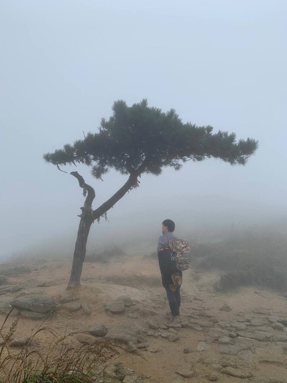 微信图片_202010091027455