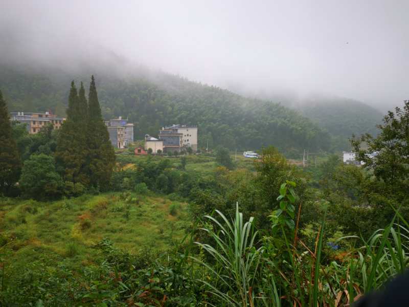 微信图片_202010091028103