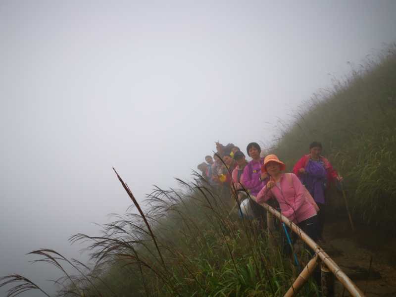 微信图片_202010091028503