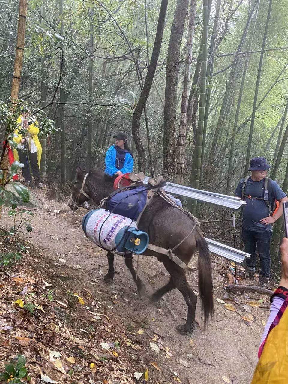 微信图片_202010091029224