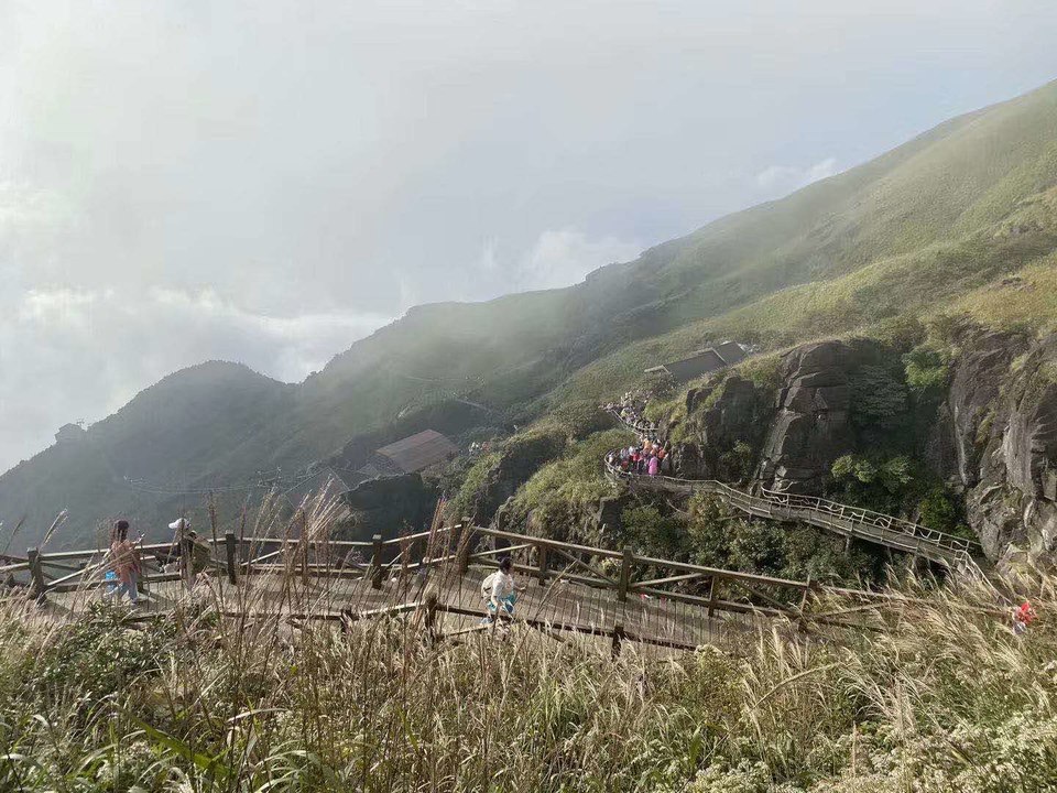 微信图片_202010091029491