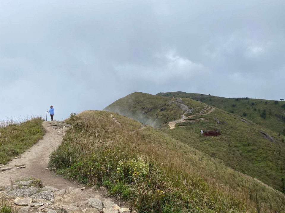 微信图片_202010091030135