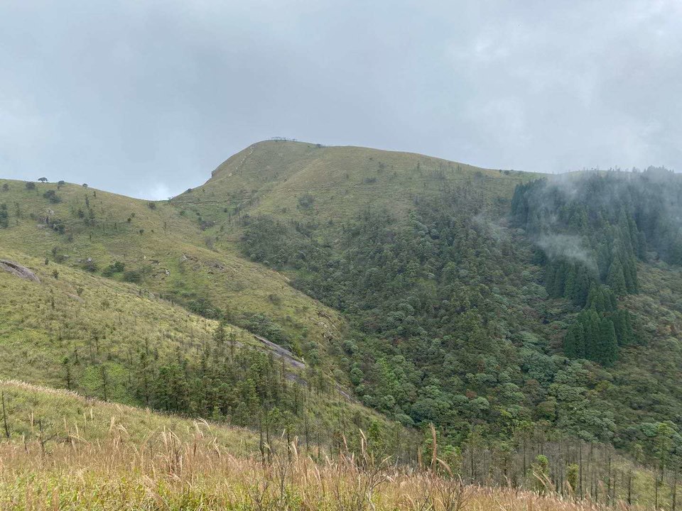 微信图片_202010091030136