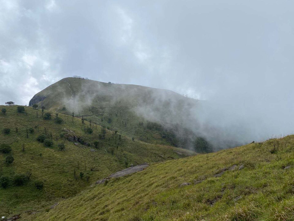 微信图片_202010091030137