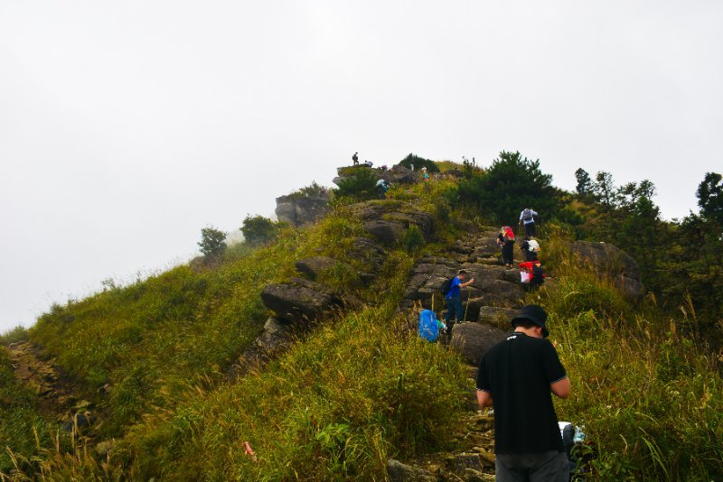 微信图片_202010091032364