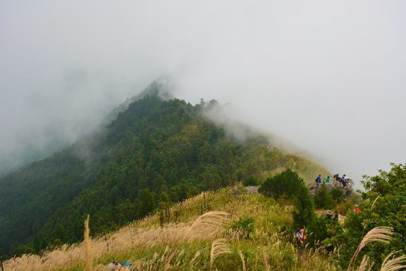 微信图片_202010091032366