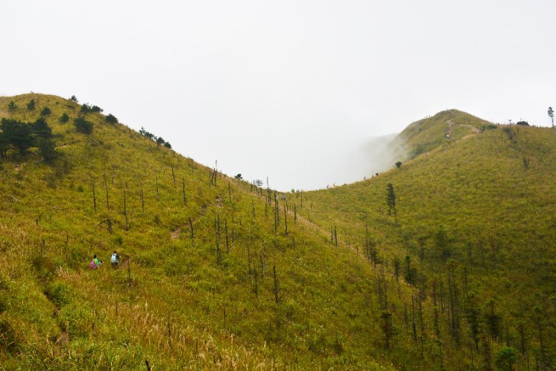 微信图片_202010091032368