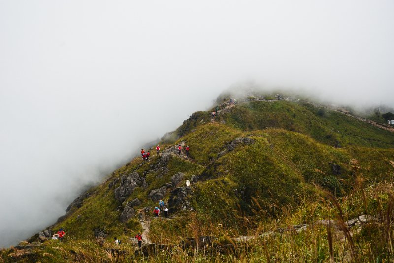 微信图片_202010091033001