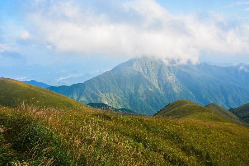 微信图片_202010091033311