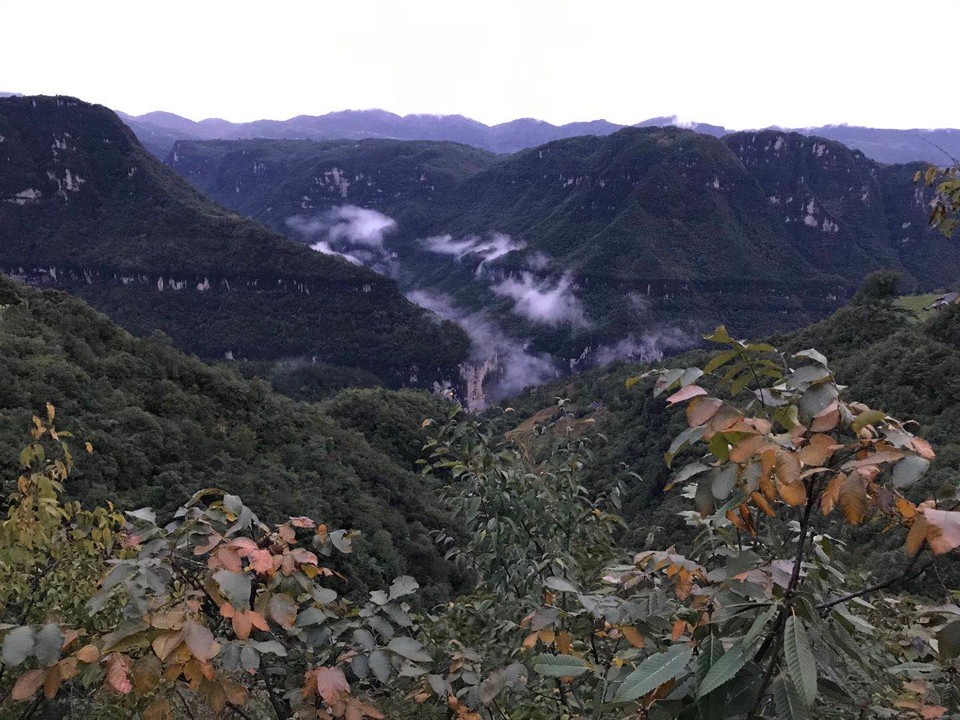 微信图片_20201009150941