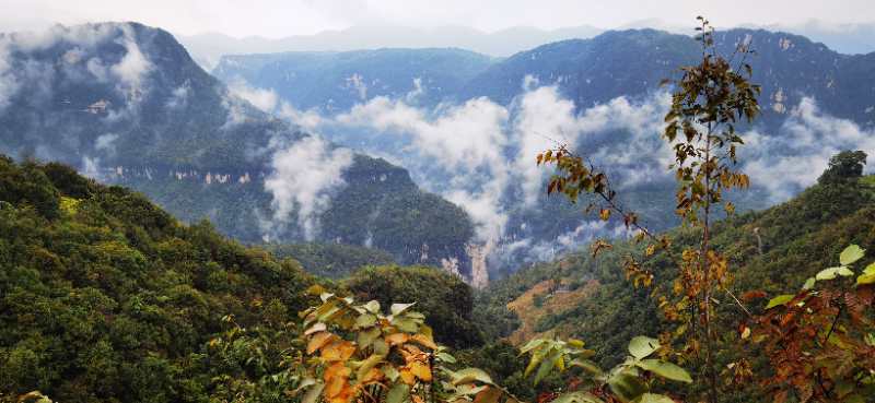 微信图片_20201009151057