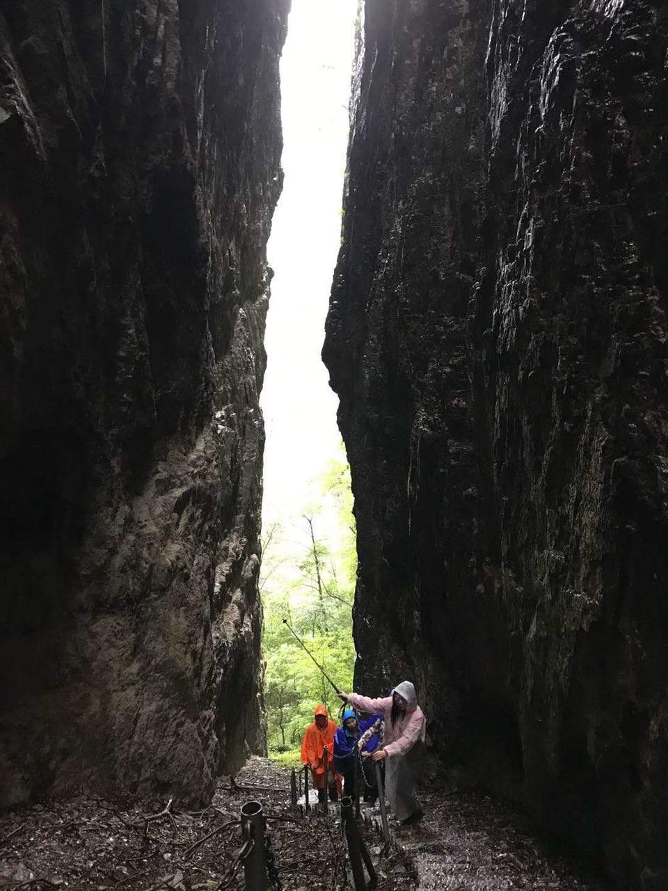 微信图片_20201009151341