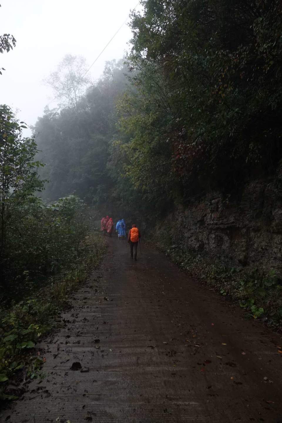 微信图片_20201009151446