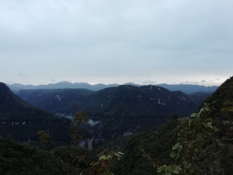 微信图片_202010091509411