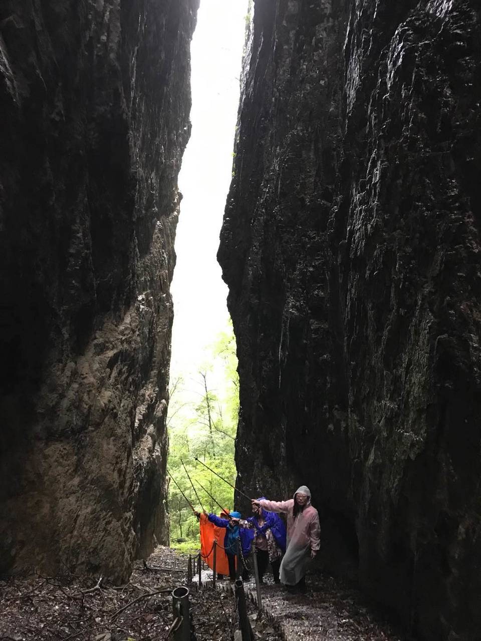 微信图片_202010091509412