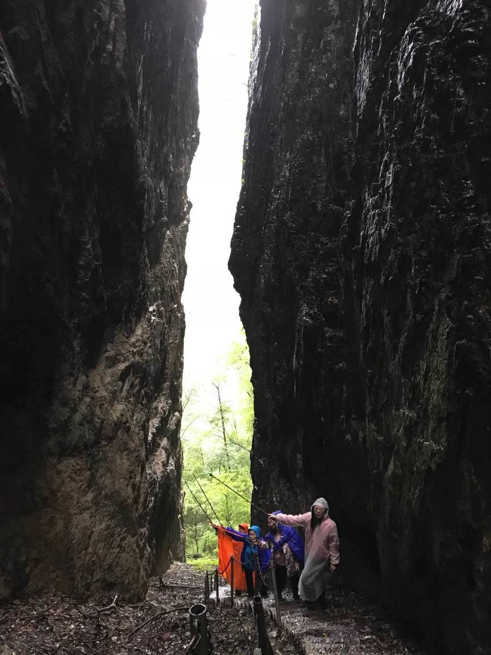 微信图片_202010091509413