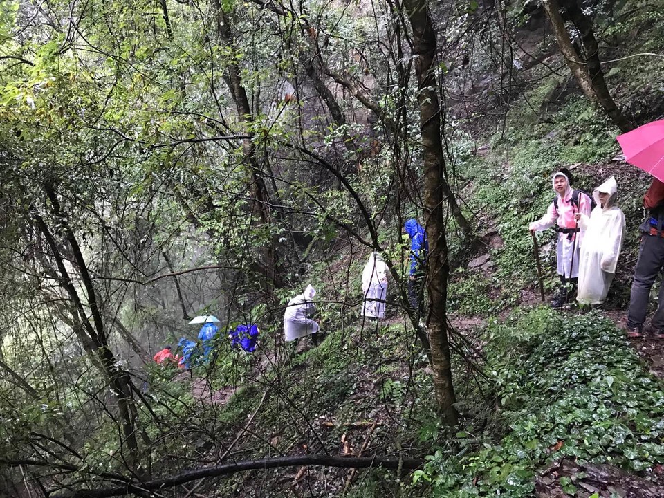 微信图片_202010091509414