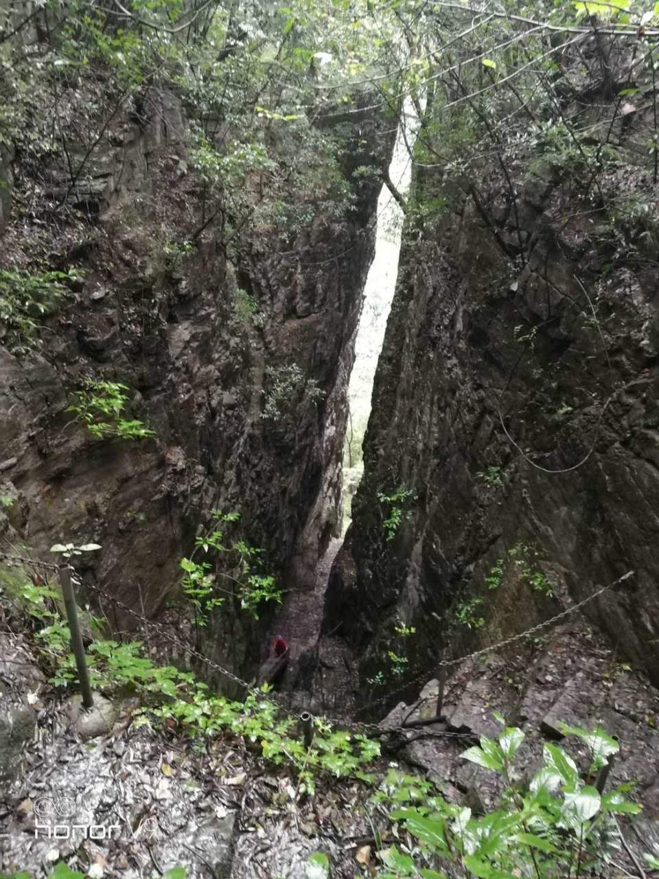 微信图片_202010091509415