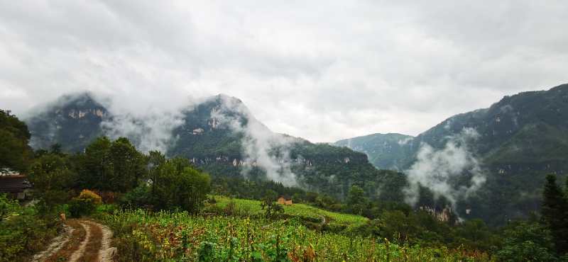 微信图片_202010091510321