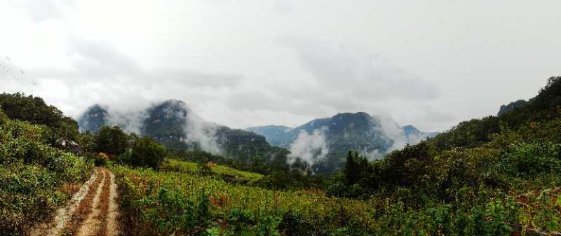 微信图片_202010091510322