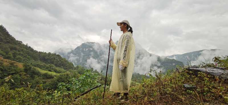 微信图片_202010091510323