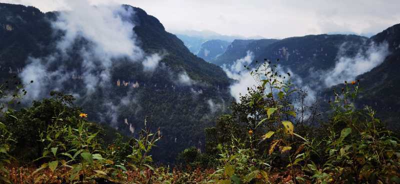 微信图片_202010091510327