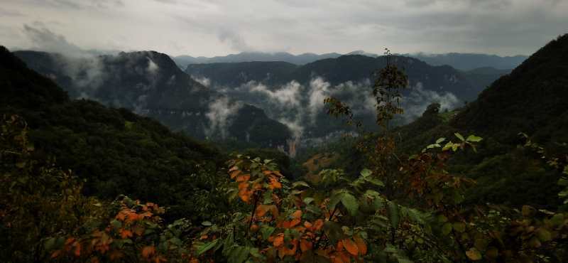 微信图片_202010091510571