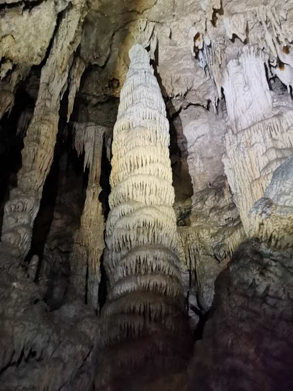 微信图片_202010091510577