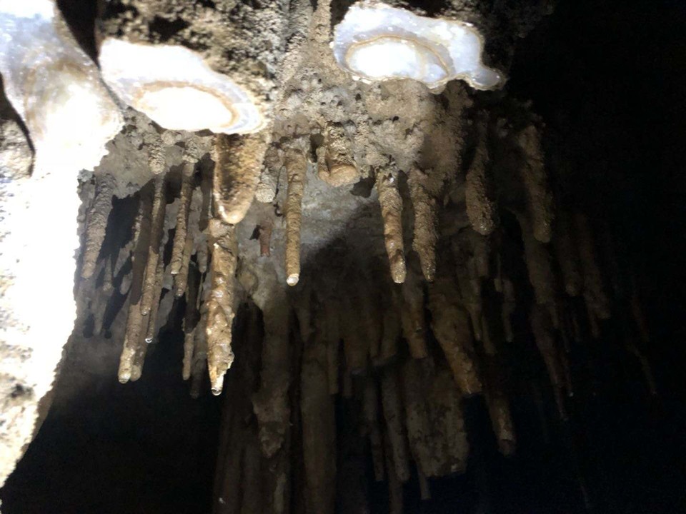 微信图片_202010091511231