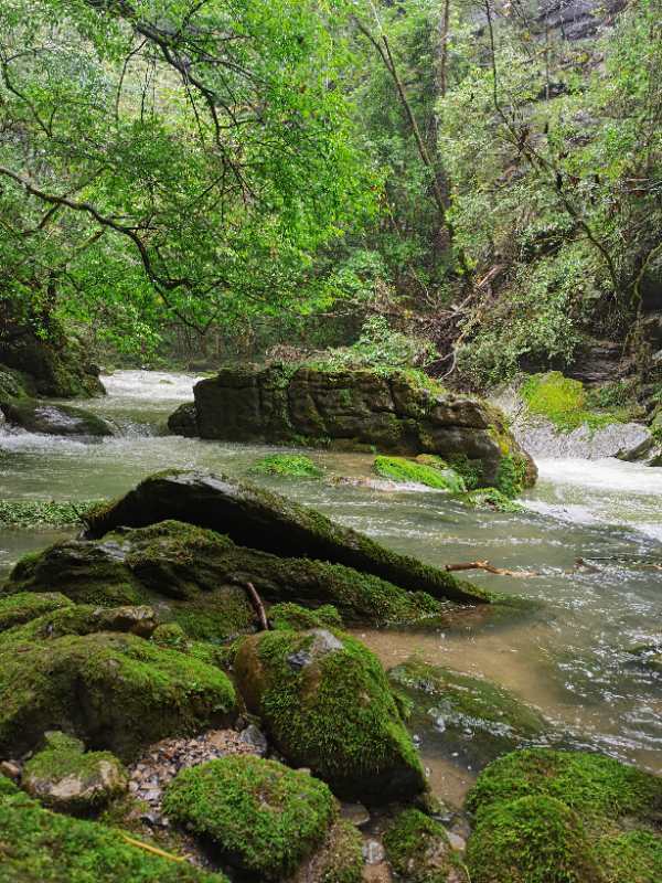 微信图片_202010091511233