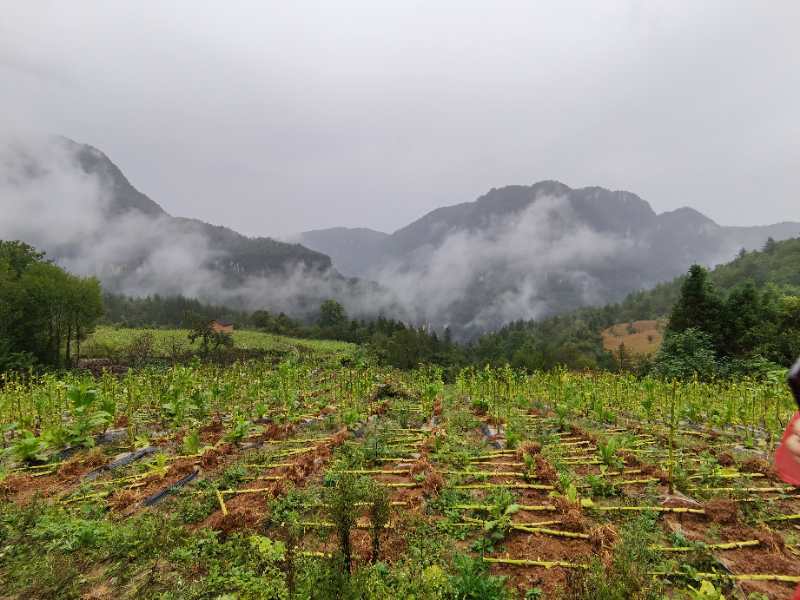 微信图片_202010091511234