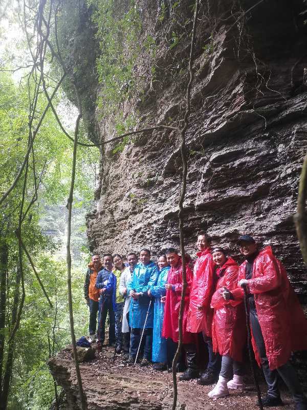 微信图片_202010091511235