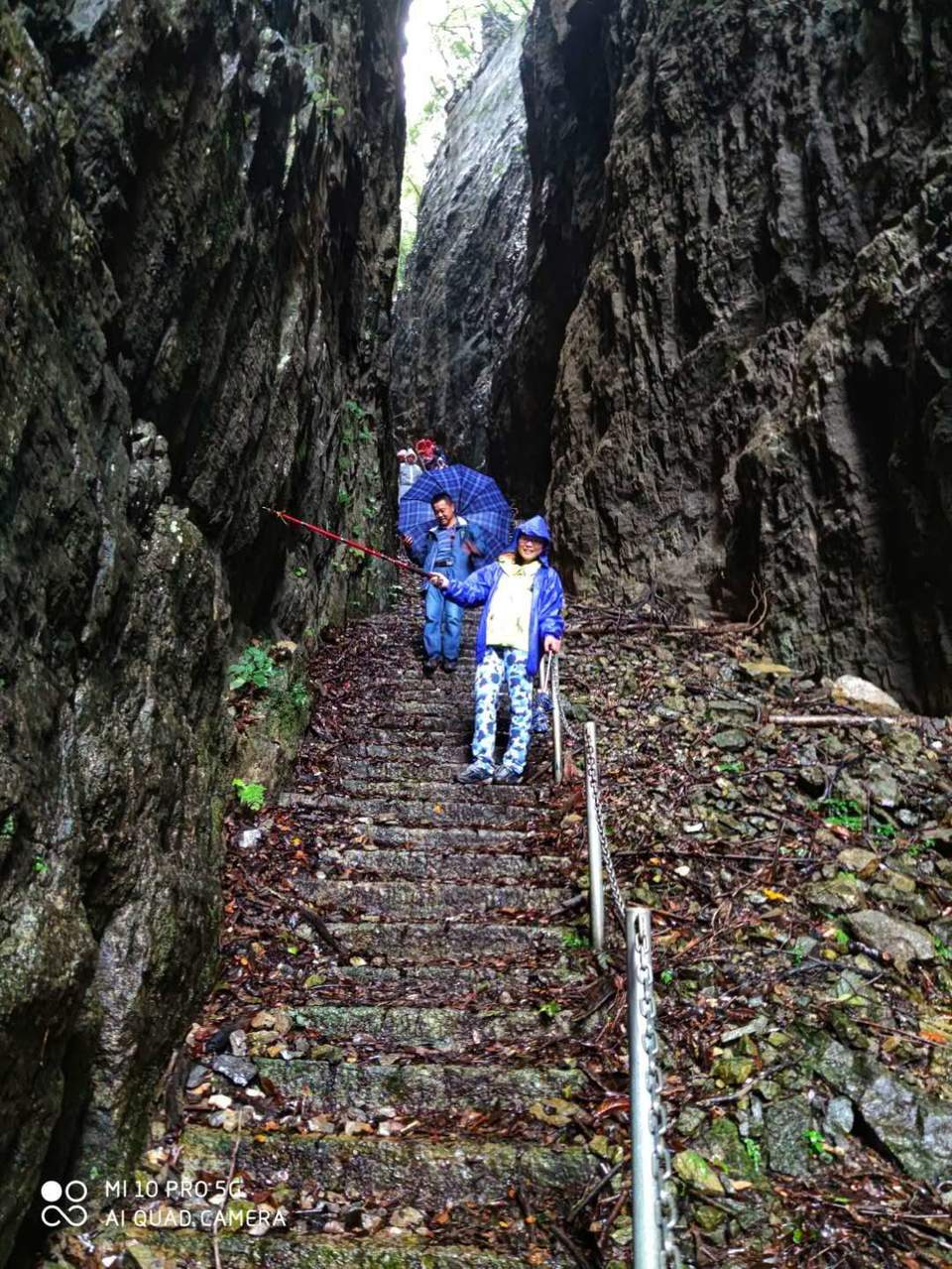 微信图片_202010091511236