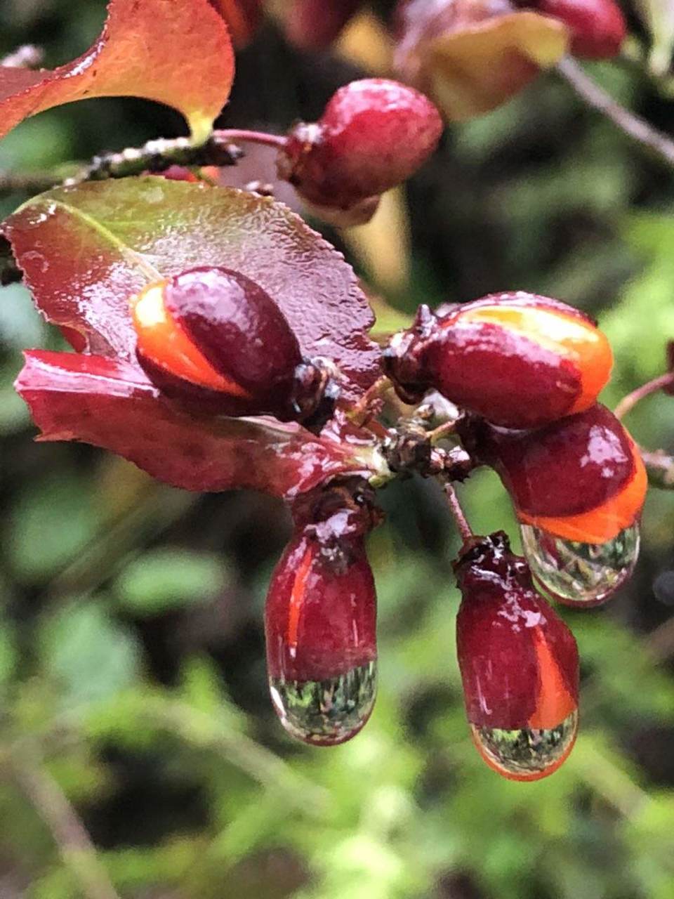 微信图片_202010091512132