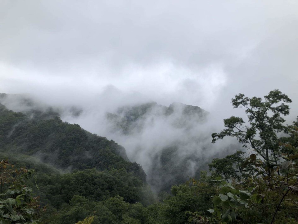 微信图片_202010091512133