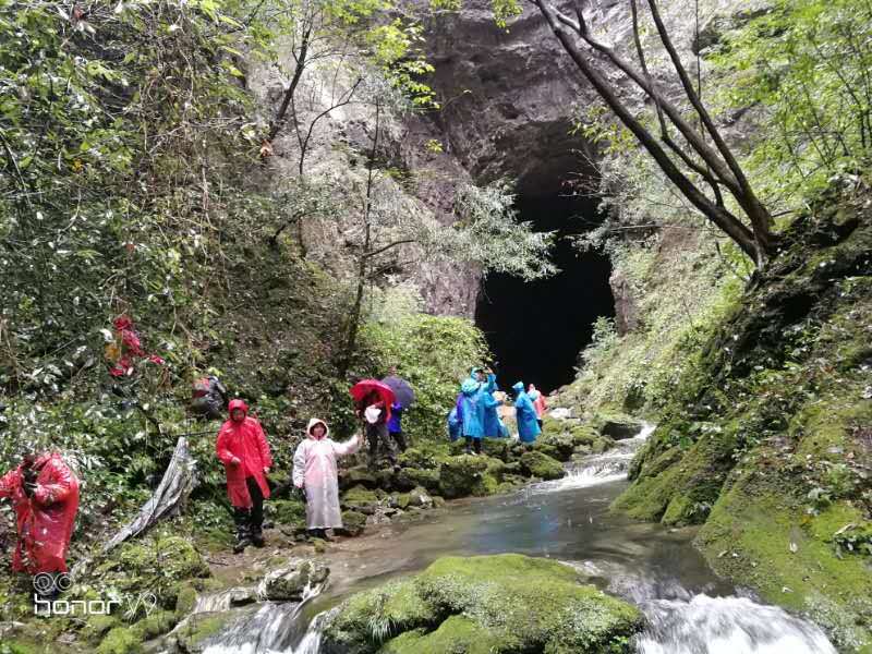 微信图片_202010091512136