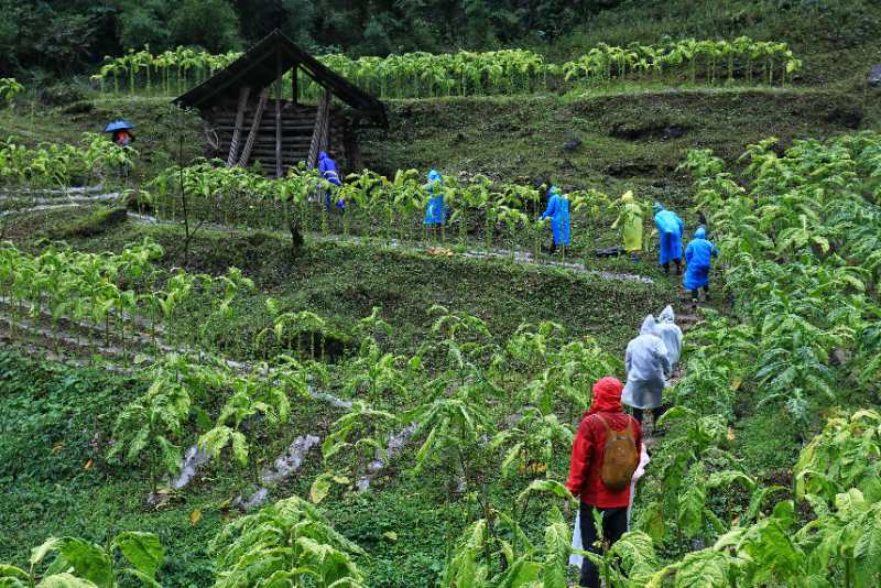 微信图片_202010091513095