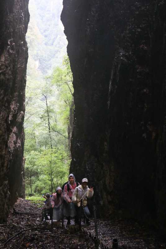 微信图片_202010091513097