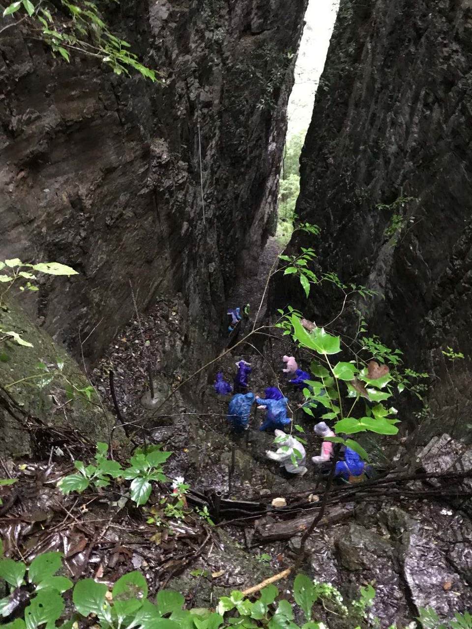 微信图片_202010091513412