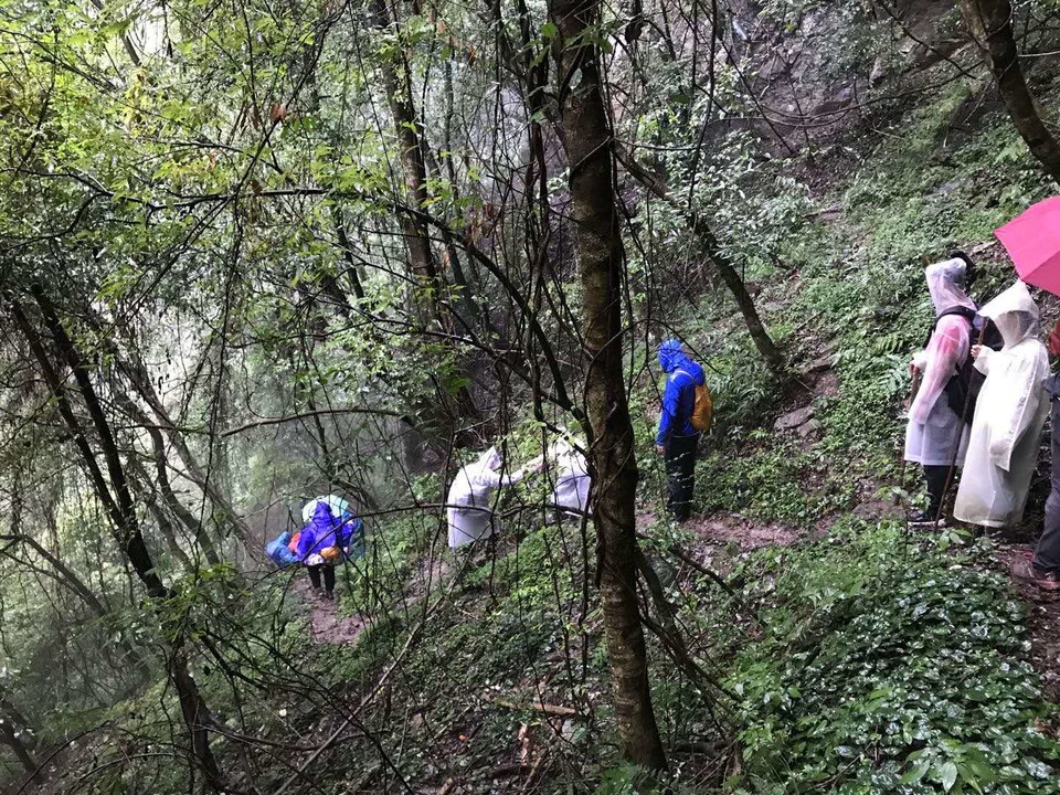 微信图片_202010091513413