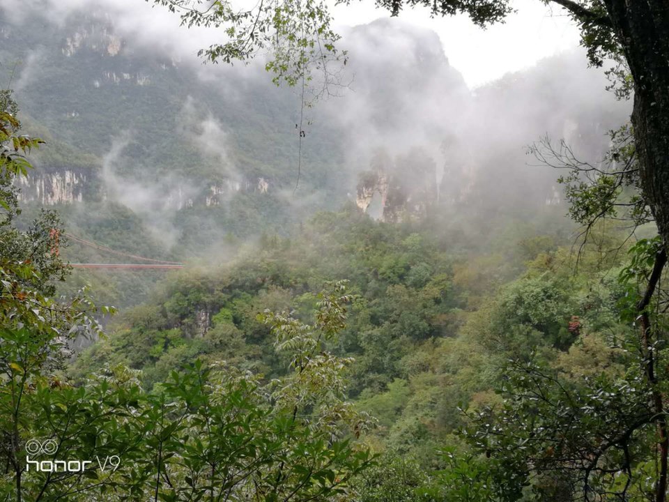 微信图片_202010091513414