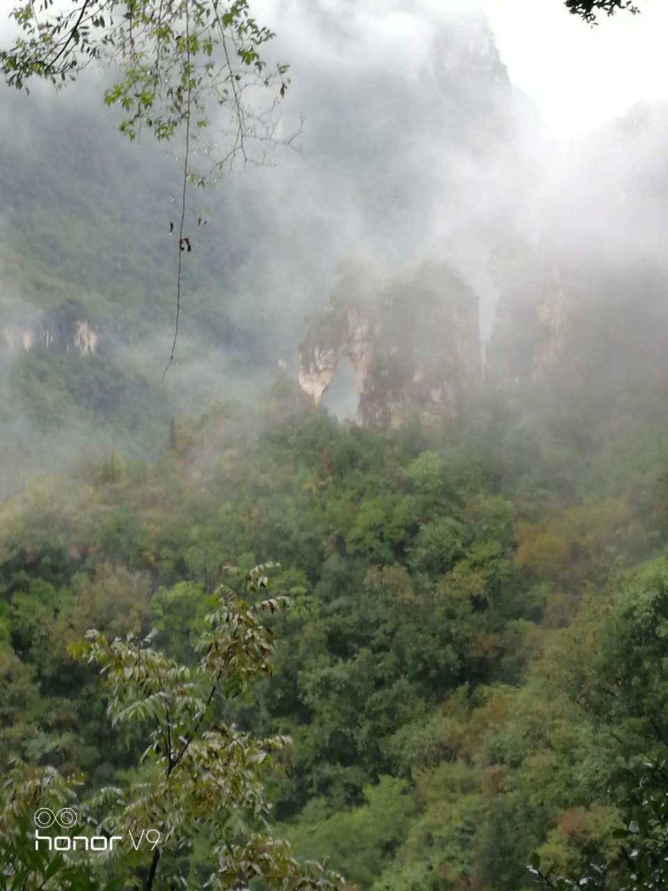 微信图片_202010091513415